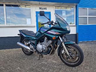 Schade motor Yamaha  DIVERSION , XJ900 S 1995/8