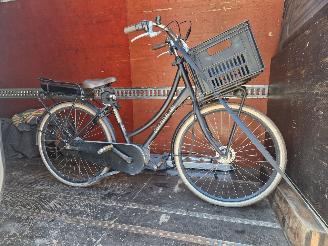 Cortina  E-U4 BOSCH MM DAMES TRANSPORTFIETS picture 6