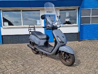 Sym  FIDDLE II 2021/3