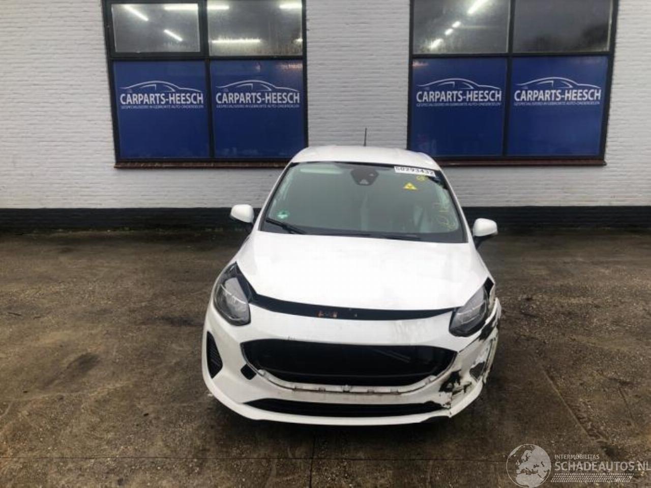 Ford Fiesta Fiesta 7, Hatchback, 2017 1.0 EcoBoost Active 12V Hybrid 125