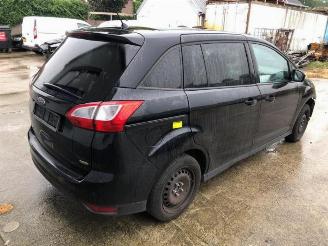 Ford Grand C-Max Grand C-Max (DXA), MPV, 2010 / 2019 1.0 Ti-VCT EcoBoost 12V 125 picture 6
