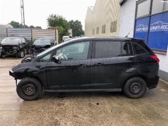 Ford Grand C-Max Grand C-Max (DXA), MPV, 2010 / 2019 1.0 Ti-VCT EcoBoost 12V 125 picture 4