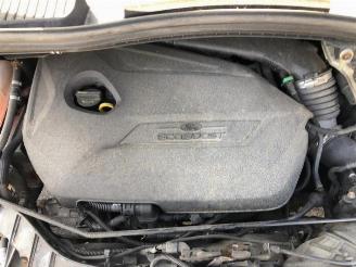 Ford Grand C-Max Grand C-Max (DXA), MPV, 2010 / 2019 1.6 EcoBoost 16V picture 9