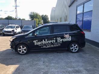 Ford Grand C-Max Grand C-Max (DXA), MPV, 2010 / 2019 1.6 EcoBoost 16V picture 5