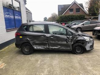 Ford B-Max B-Max (JK8), MPV, 2012 1.0 EcoBoost 12V 100 picture 5