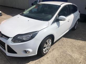 Ford Focus  picture 3