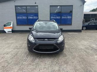 Ford Grand C-Max  picture 1