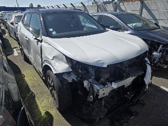 Auto incidentate Peugeot 2008  2021/6