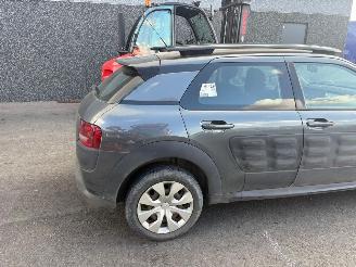 Citroën C4 cactus  picture 9