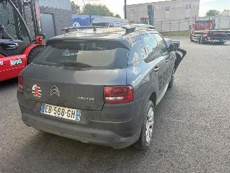 Citroën C4 cactus  picture 11