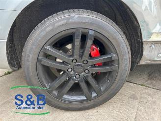 Audi Q7 Q7 (4LB), SUV, 2005 / 2015 3.0 TDI V6 24V picture 12