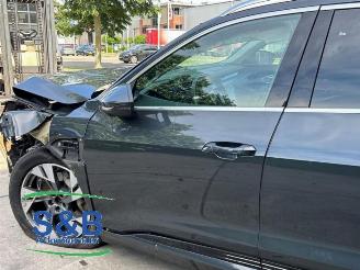 Audi E-tron E-tron (GEN), SUV, 2018 50 quattro picture 26