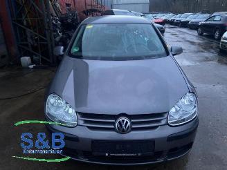 disassembly passenger cars Volkswagen Golf Golf V (1K1), Hatchback, 2003 / 2010 1.4 16V 2005/12