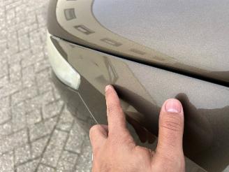 Seat Ibiza 1.2 TSI Hatchback 4Dr Benzine 1,197cc 77kW (105pk) FWD 2010-09/2012-03 (6J5) CBZB picture 21