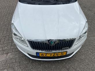 Skoda Fabia TMBJK25J3C3146746 picture 14
