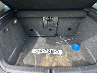 Volkswagen Tiguan 1.4 TSI 16V SUV  Benzine 1.390cc 110kW (150pk) FWD 2008-03/2011-05 (5N1) CAVA picture 14