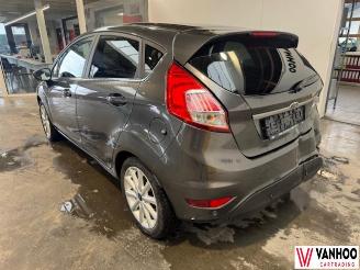 Ford Fiesta  picture 11