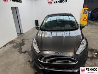 Ford Fiesta  picture 2