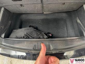 Volkswagen Sharan  picture 15