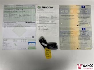 Skoda Superb  picture 24