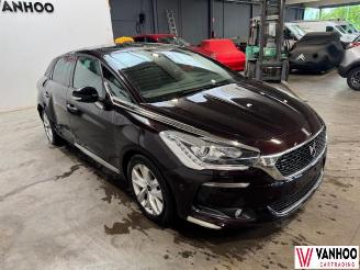 Citroën DS5  picture 3