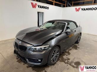  BMW 2-serie  2018/5