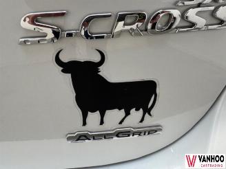 Suzuki SX4 S-CROSS picture 11