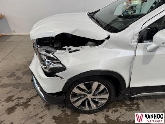 Suzuki SX4 S-CROSS picture 2