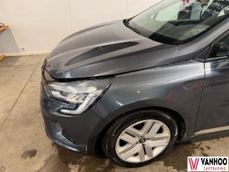 Renault Clio  picture 2