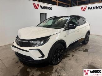 škoda osobní automobily Opel Grandland X 2023/8