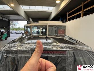Volkswagen Sharan  picture 11