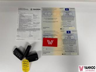 Skoda Karoq  picture 24