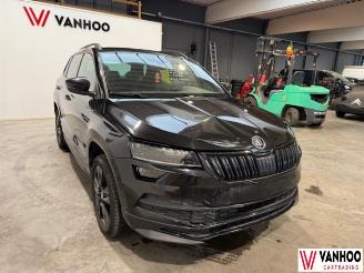 Skoda Karoq  picture 3