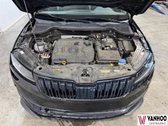 Skoda Karoq  picture 5