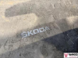 Skoda Karoq  picture 15