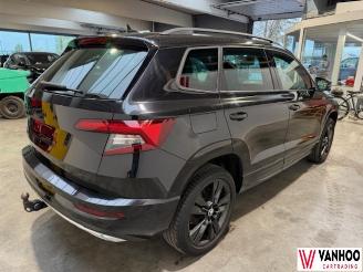 Skoda Karoq  picture 10