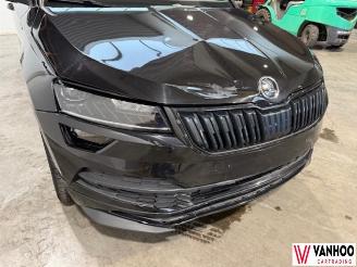 Skoda Karoq  picture 4