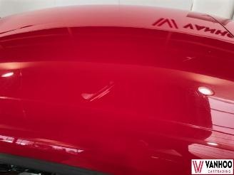 Volkswagen Beetle  picture 13