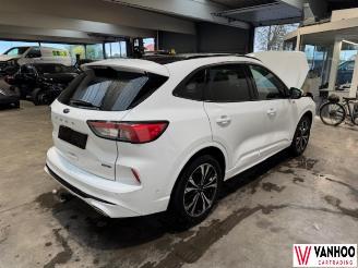 Ford Kuga  picture 6