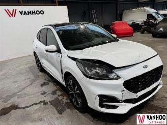 Ford Kuga  picture 3