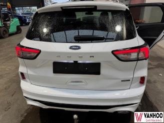 Ford Kuga  picture 8