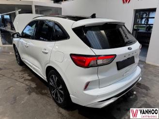 Ford Kuga  picture 9