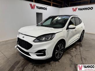 Schadeauto Ford Kuga  2023/7
