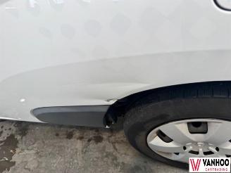 Renault Kangoo  picture 12