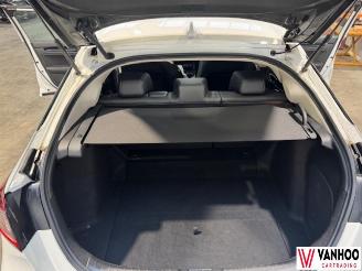 Honda Civic  picture 14