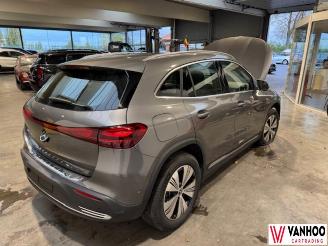 Mercedes EQA  picture 8