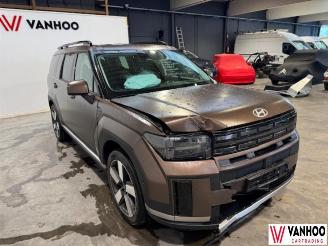 Hyundai Santa Fe FE picture 3