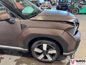 Hyundai Santa Fe FE picture 5