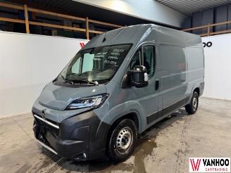 Opel Movano  picture 1