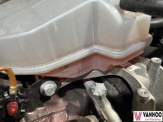 Volkswagen Golf  picture 9